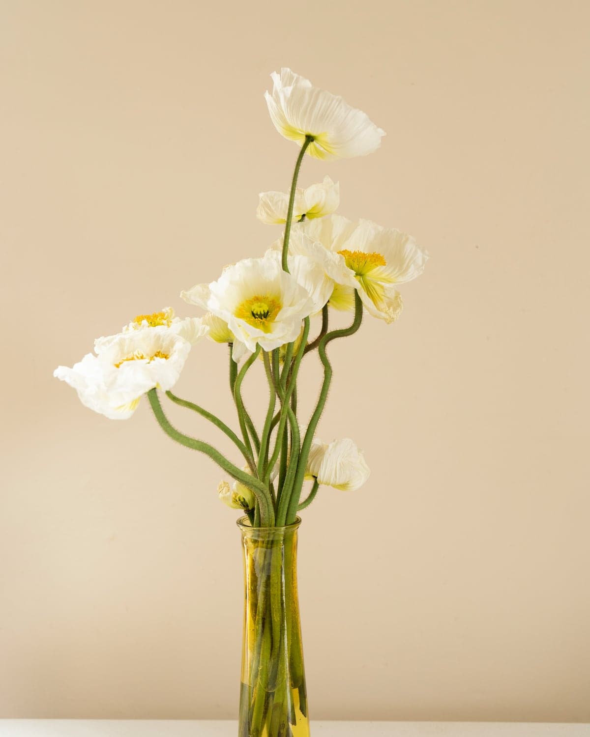 White and yellow Iceland poppies in an amber glass jar