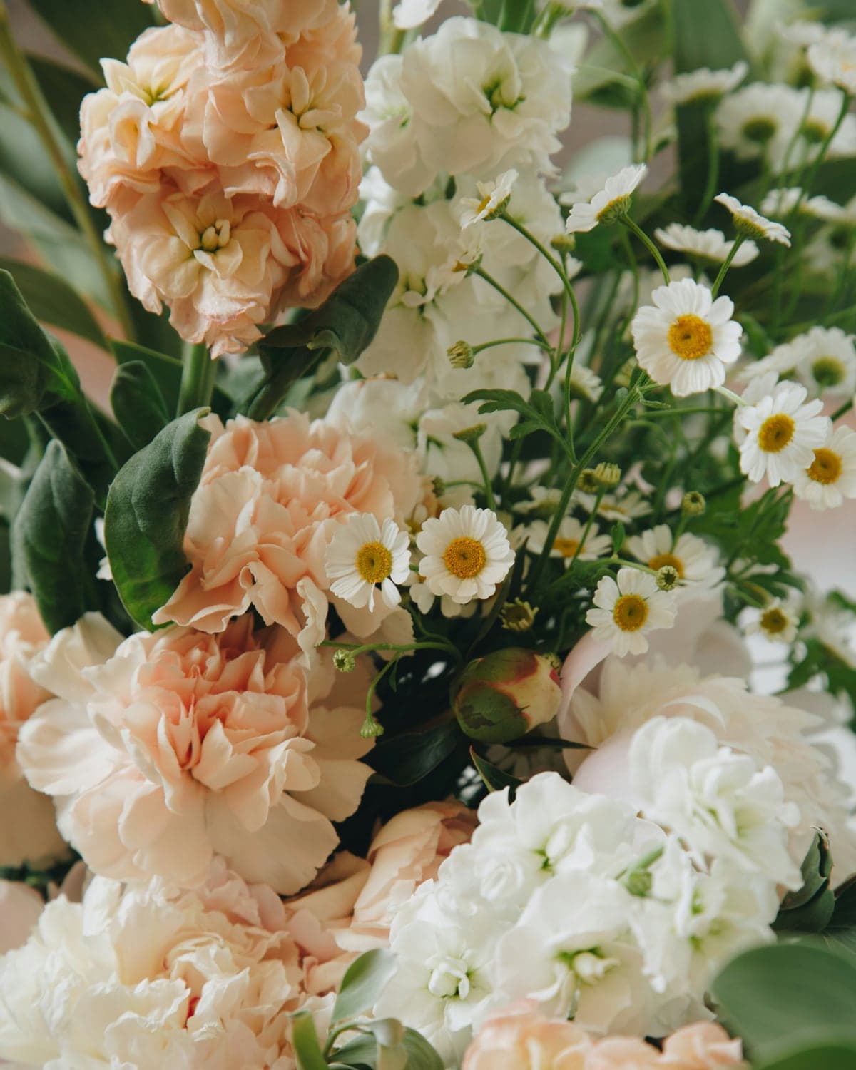 Peach carnations and white daisies in soft light