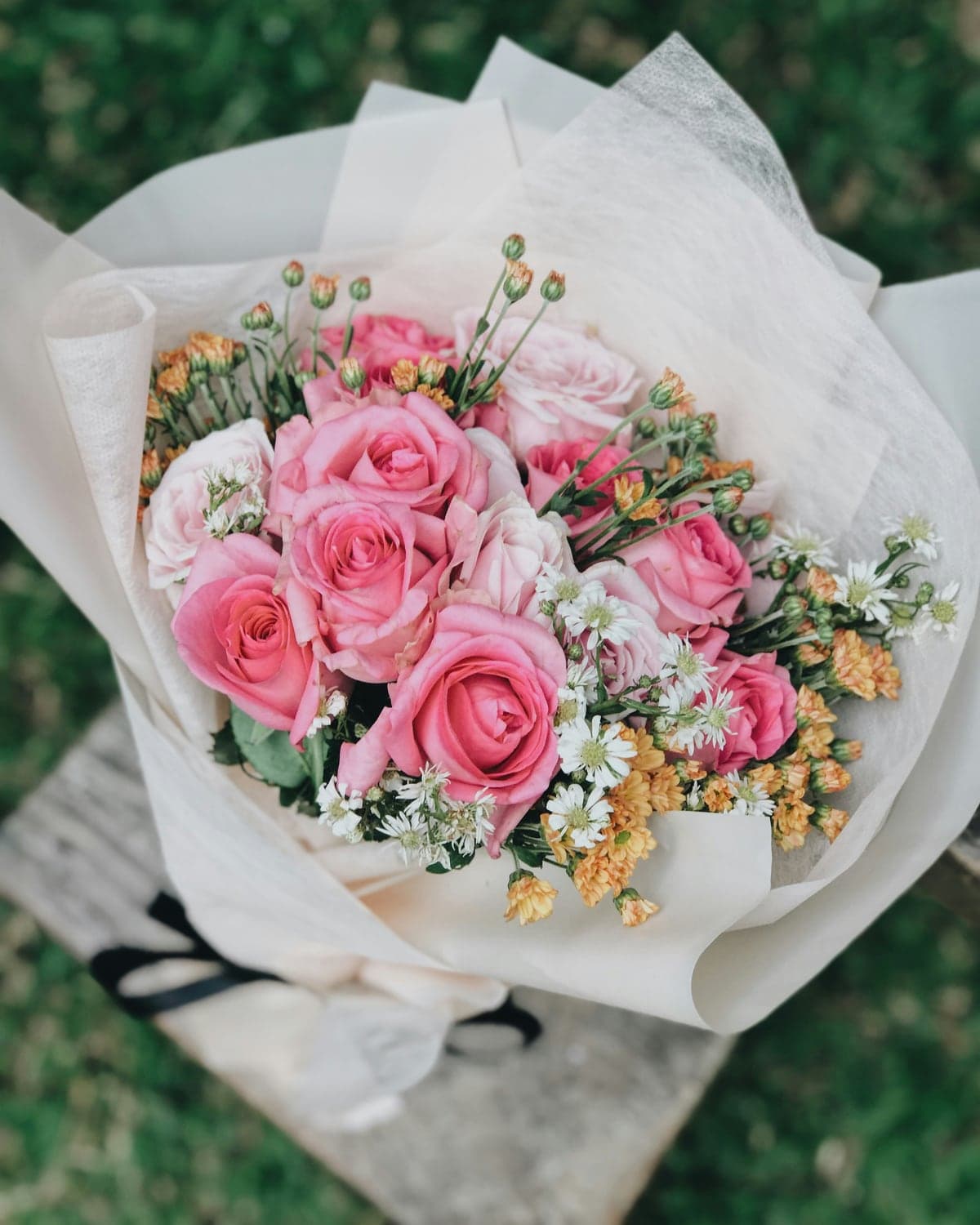 Pink garden roses wrapped in white tissue paper